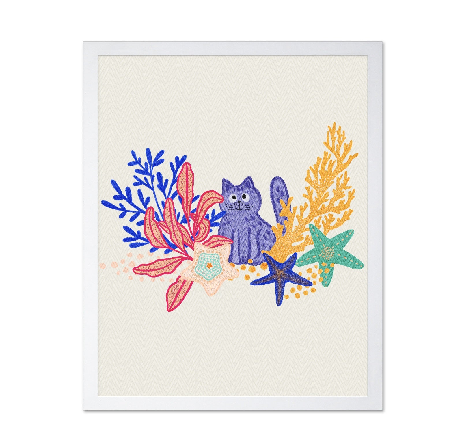 Playful Coral Cat