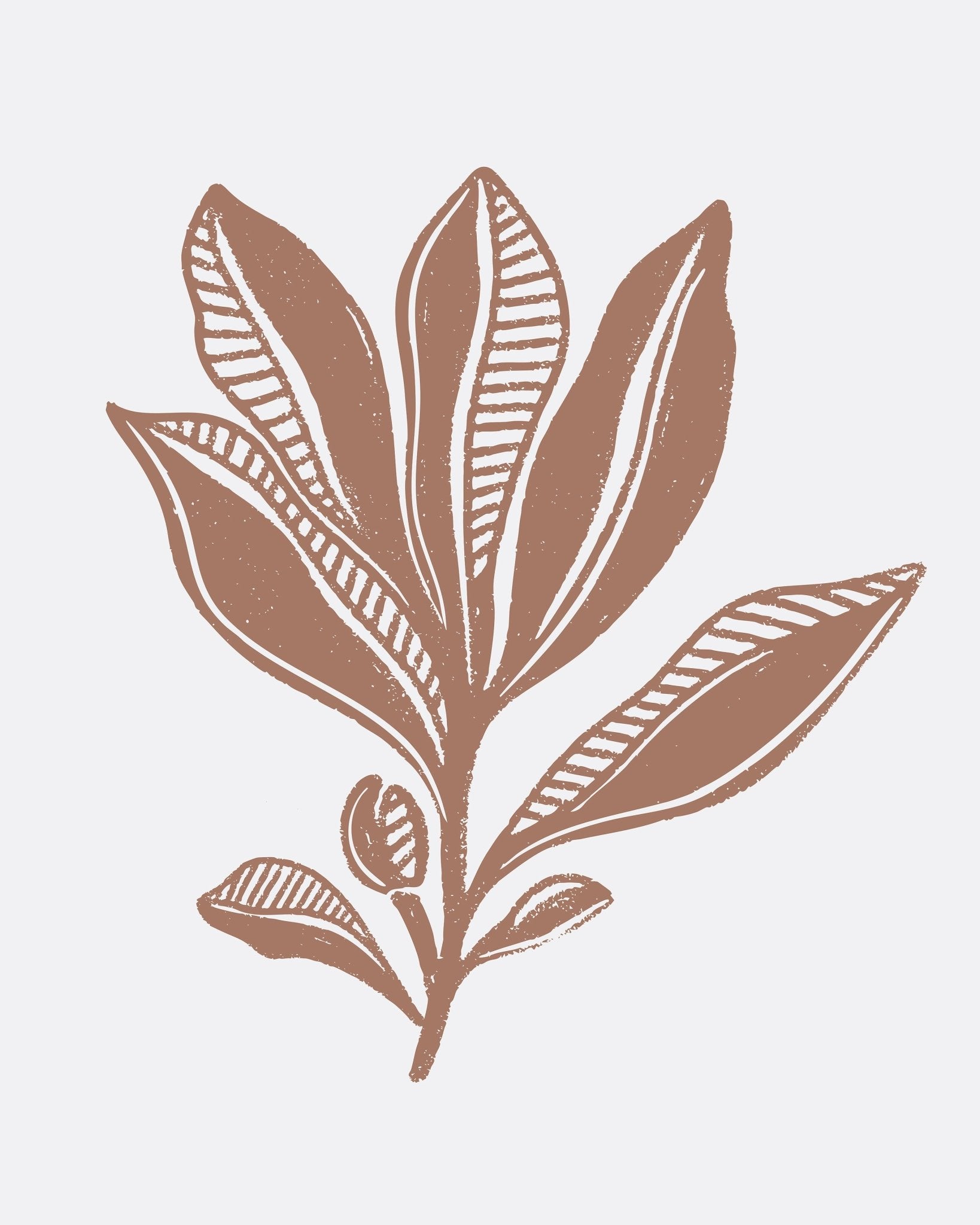 Mocha Leaf Sketch