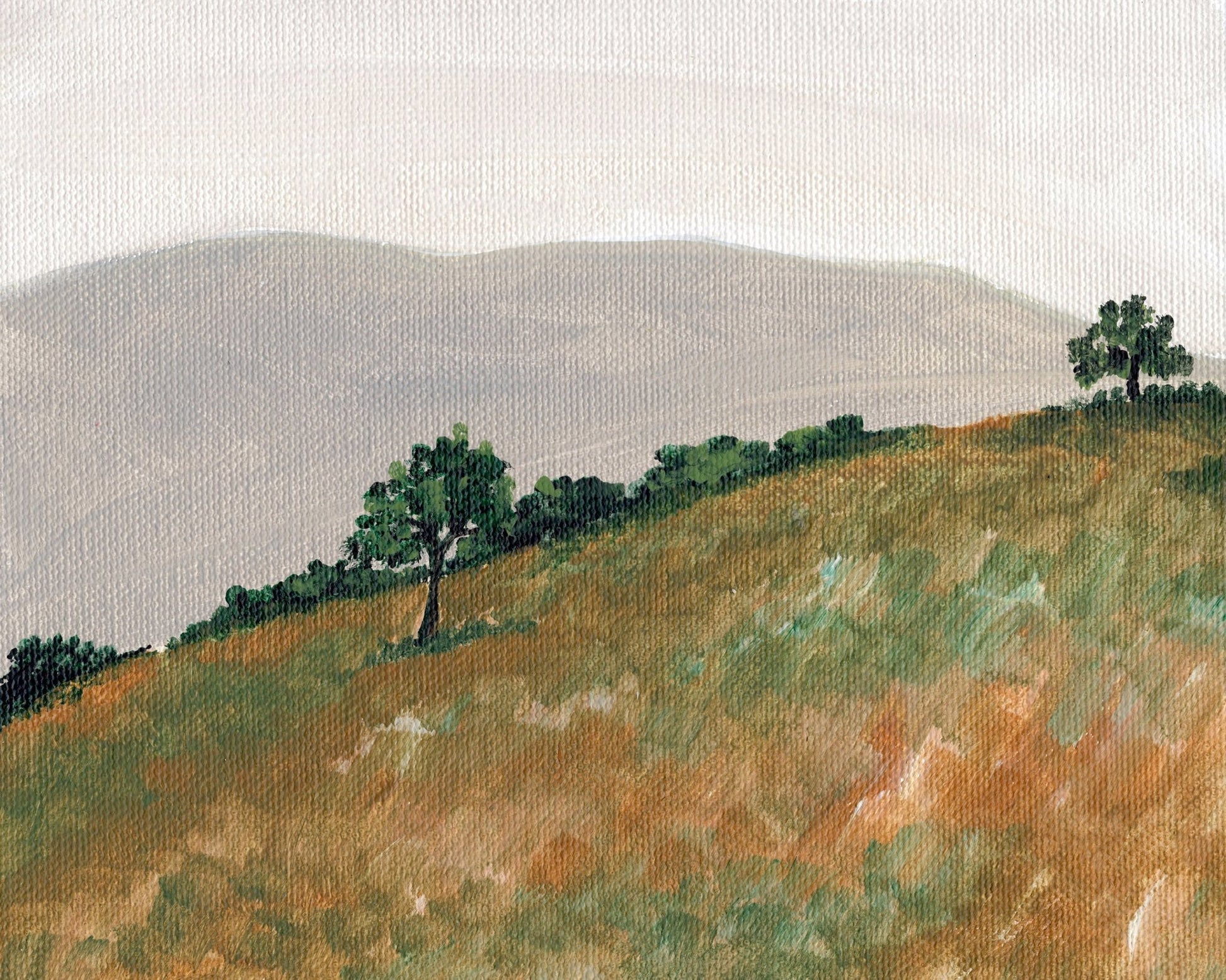 Rolling Hills View