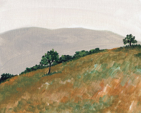 Rolling Hills View