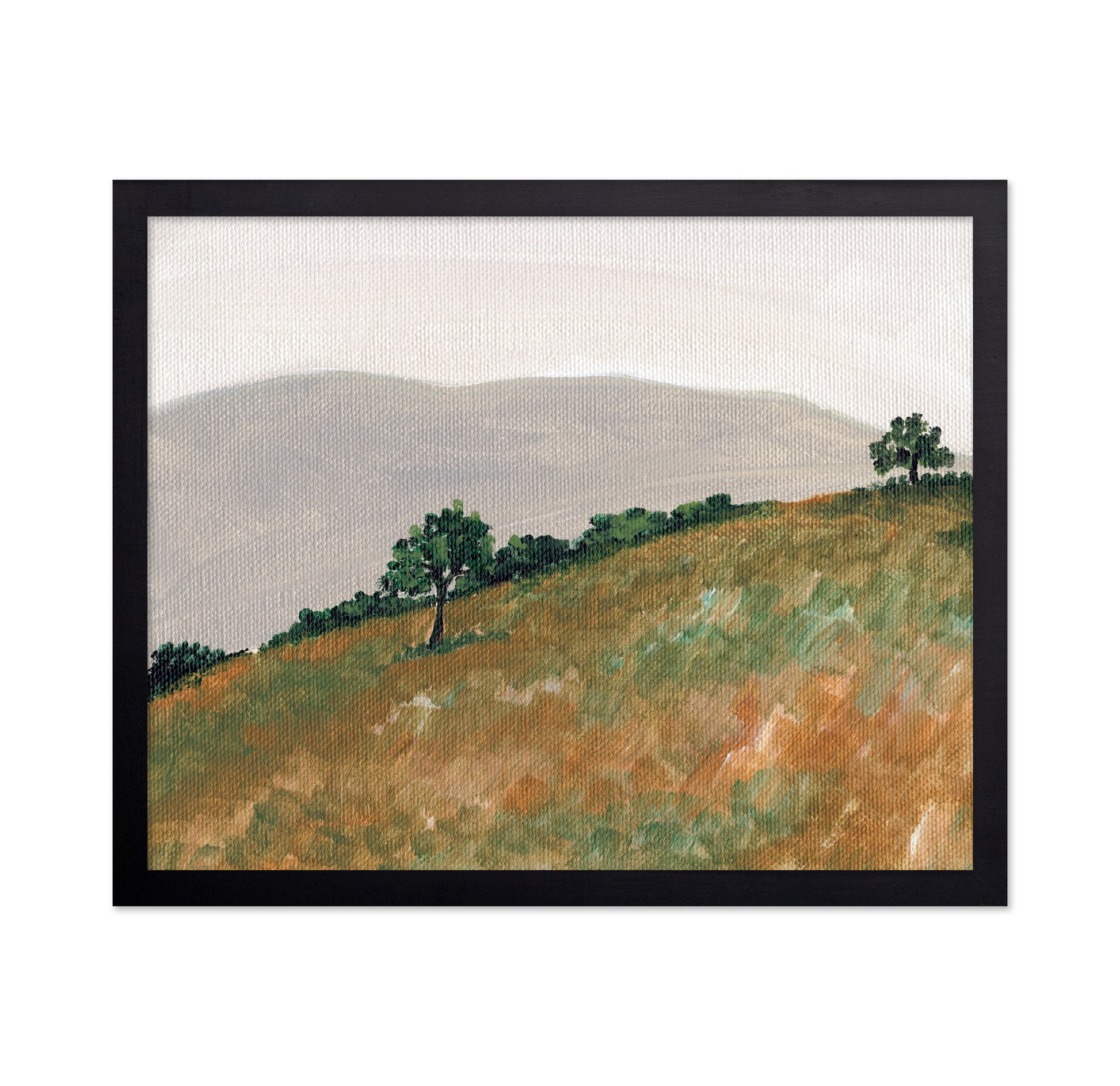 Rolling Hills View
