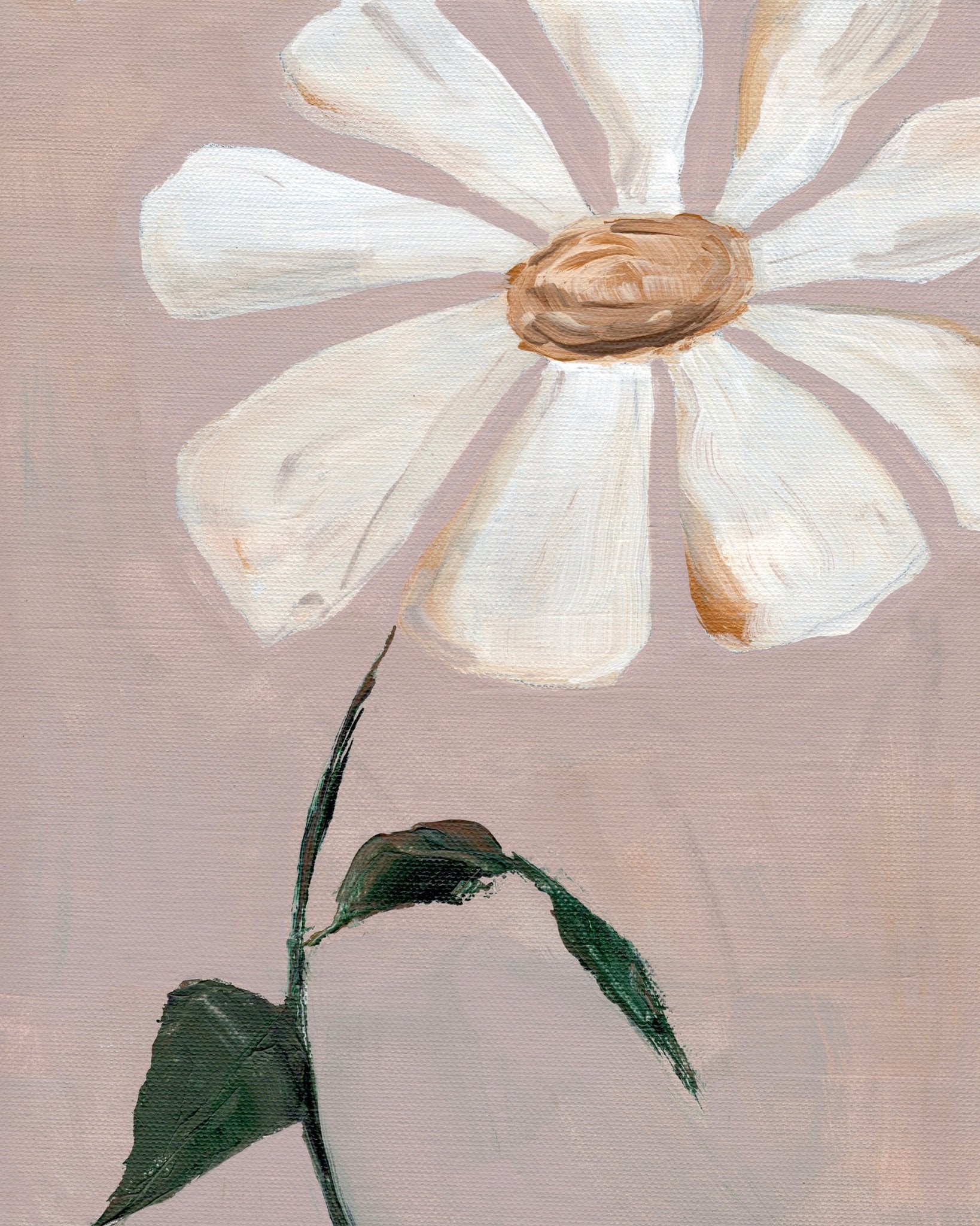 Soft Daisy