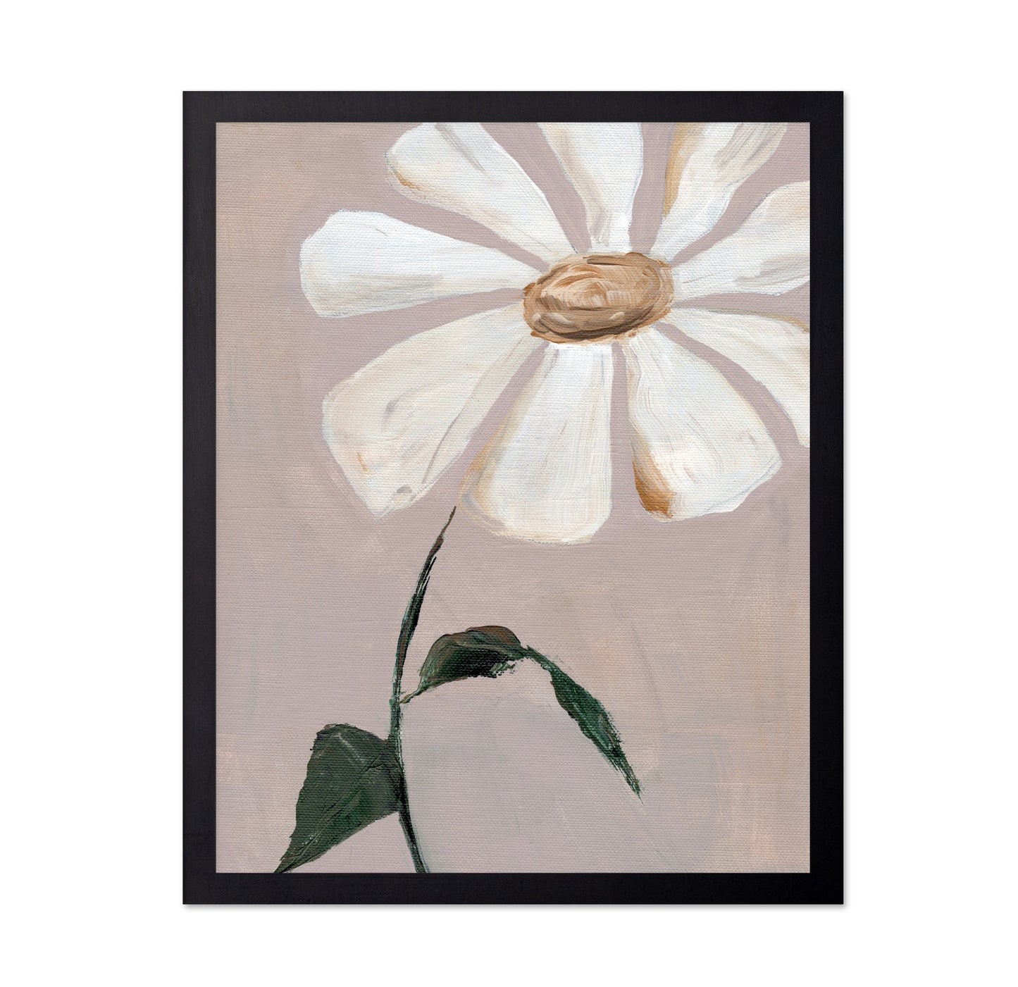 Soft Daisy