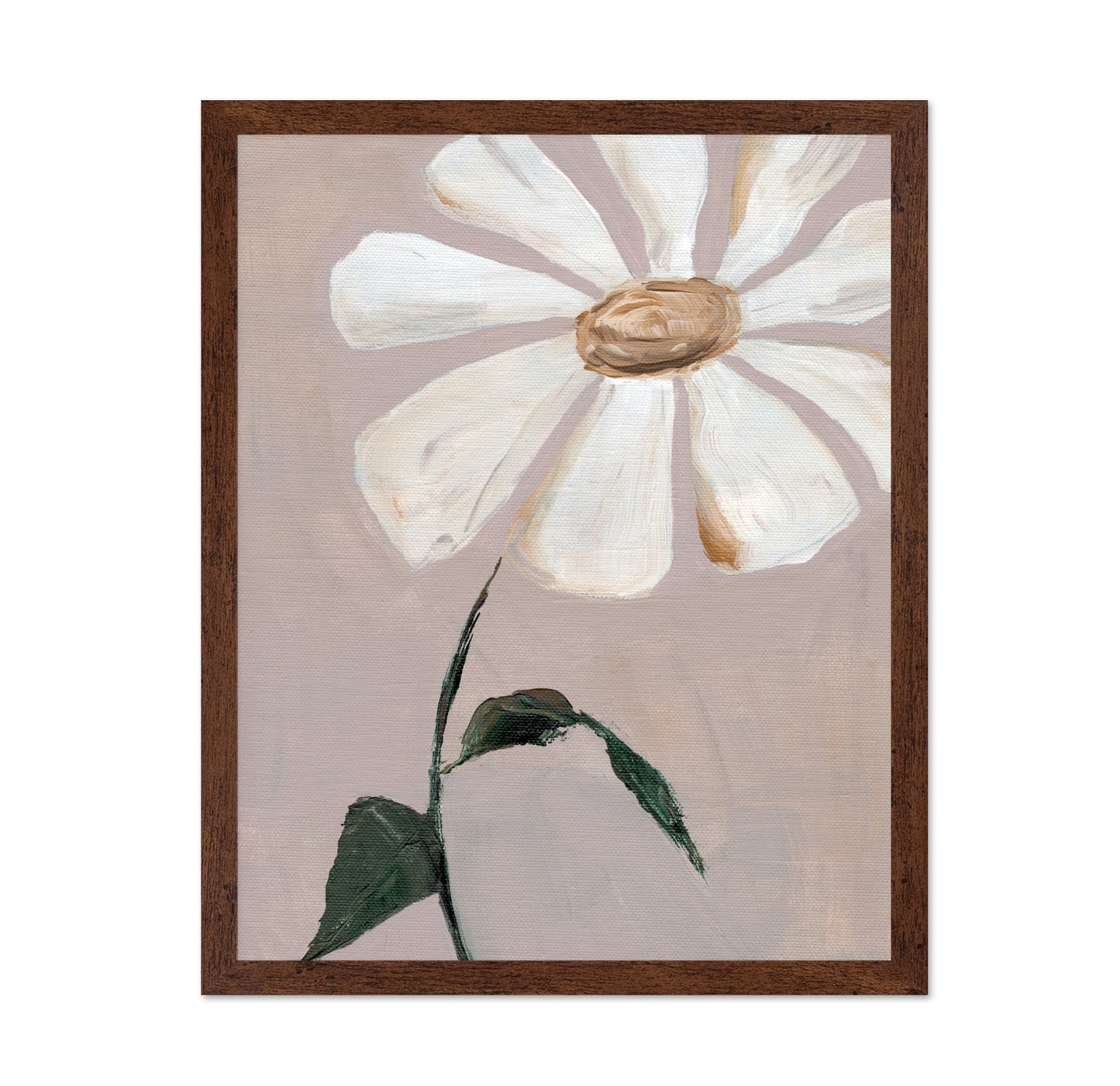 Soft Daisy