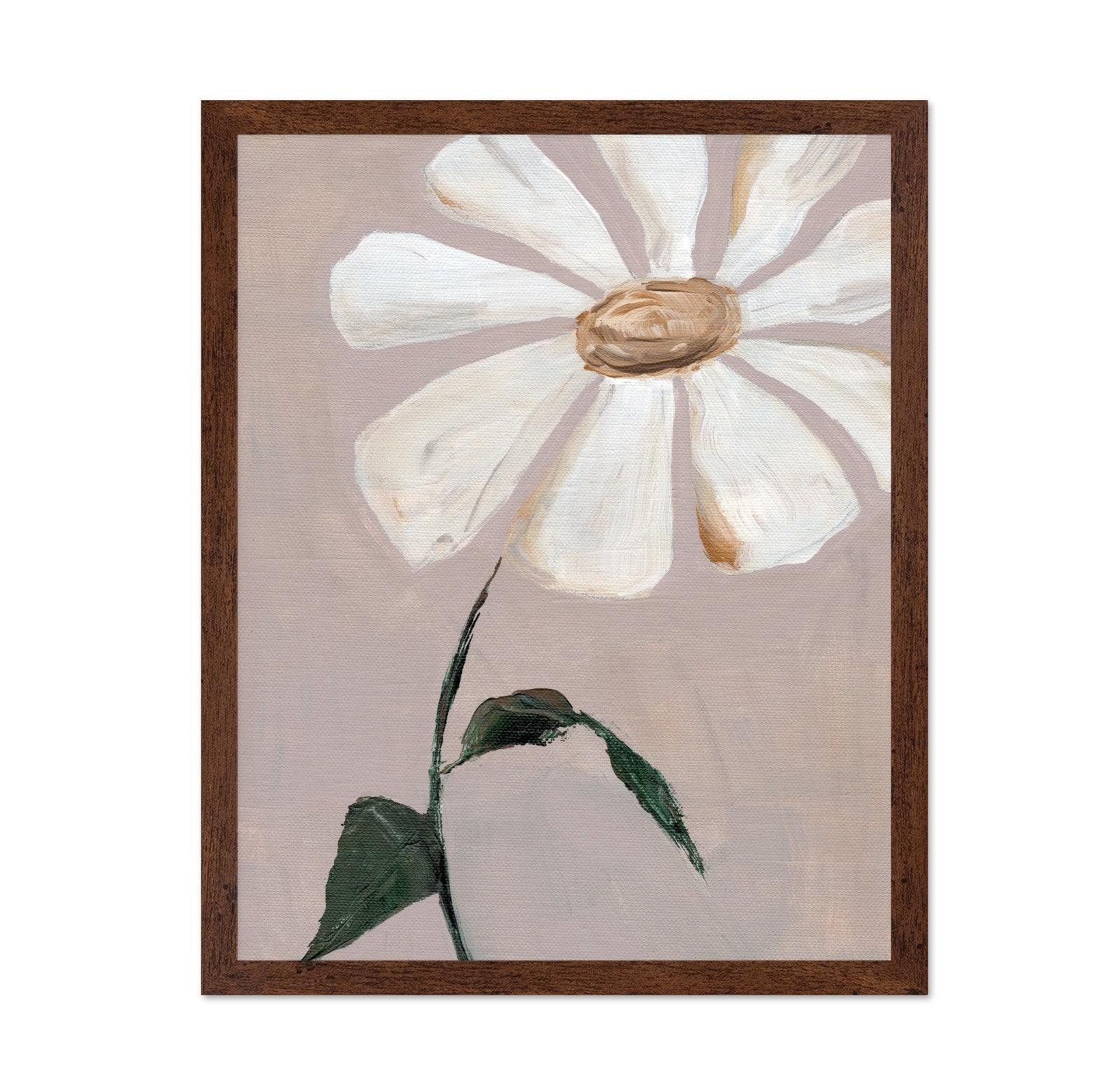 Soft Daisy