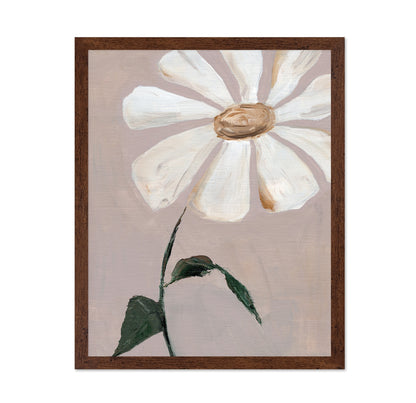 Soft Daisy