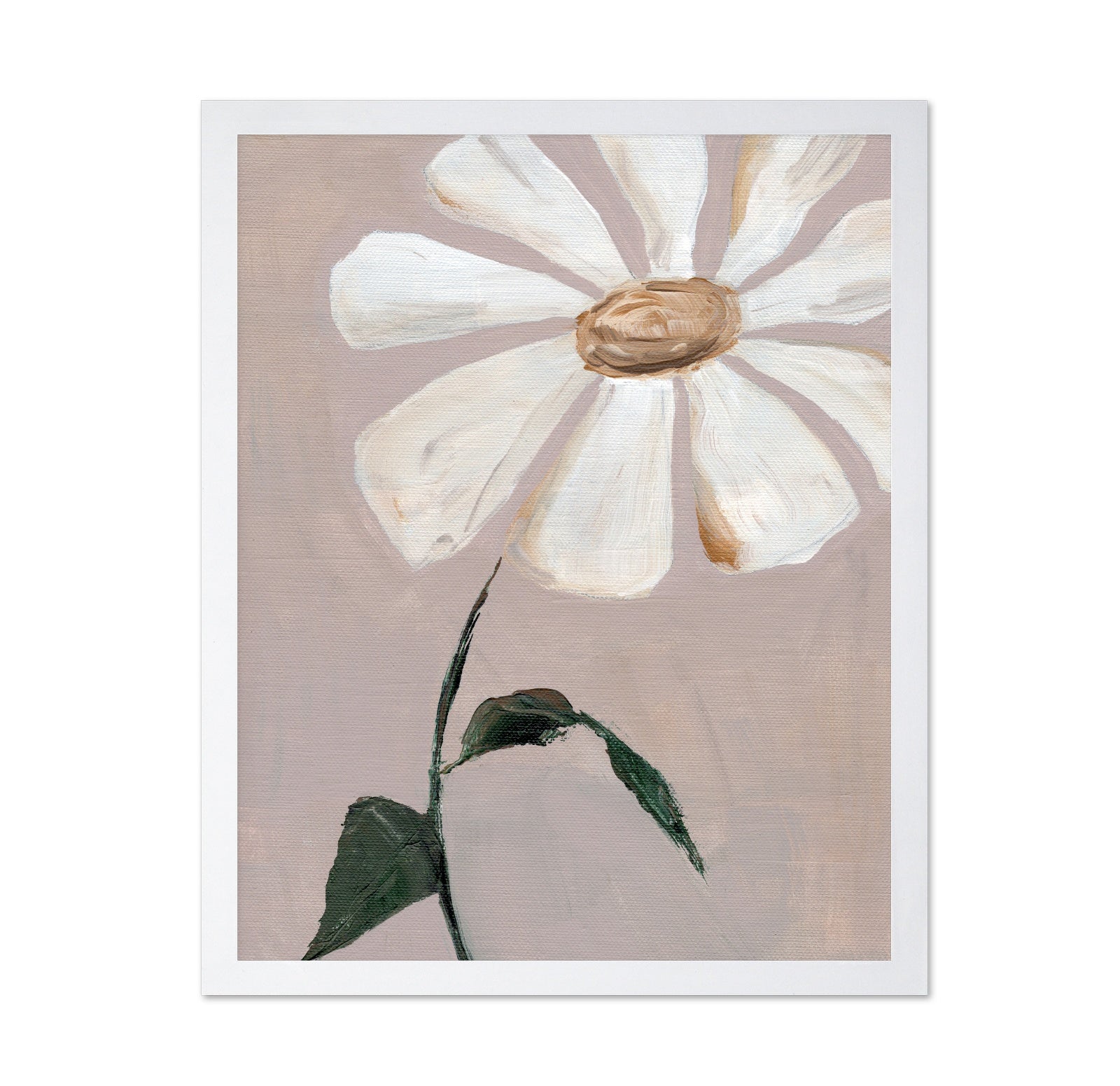 Soft Daisy