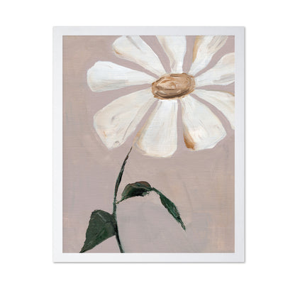 Soft Daisy