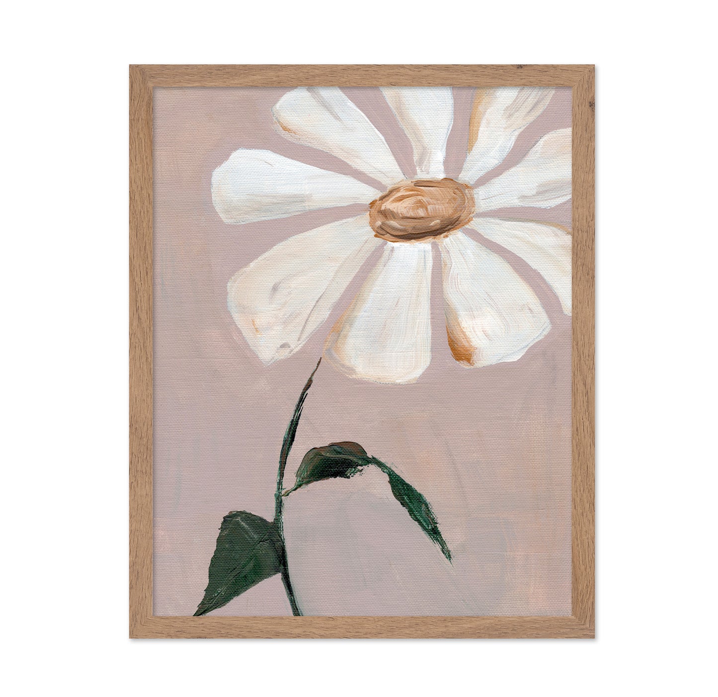 Soft Daisy
