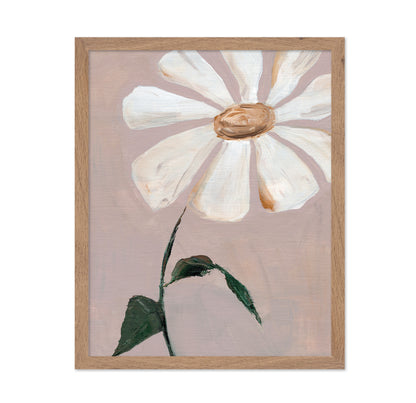Soft Daisy