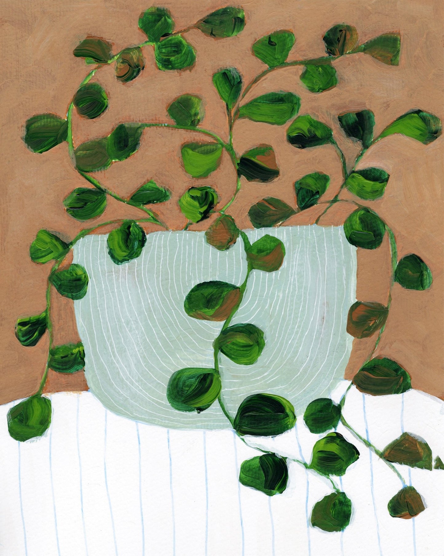 Peperomia Stilllife