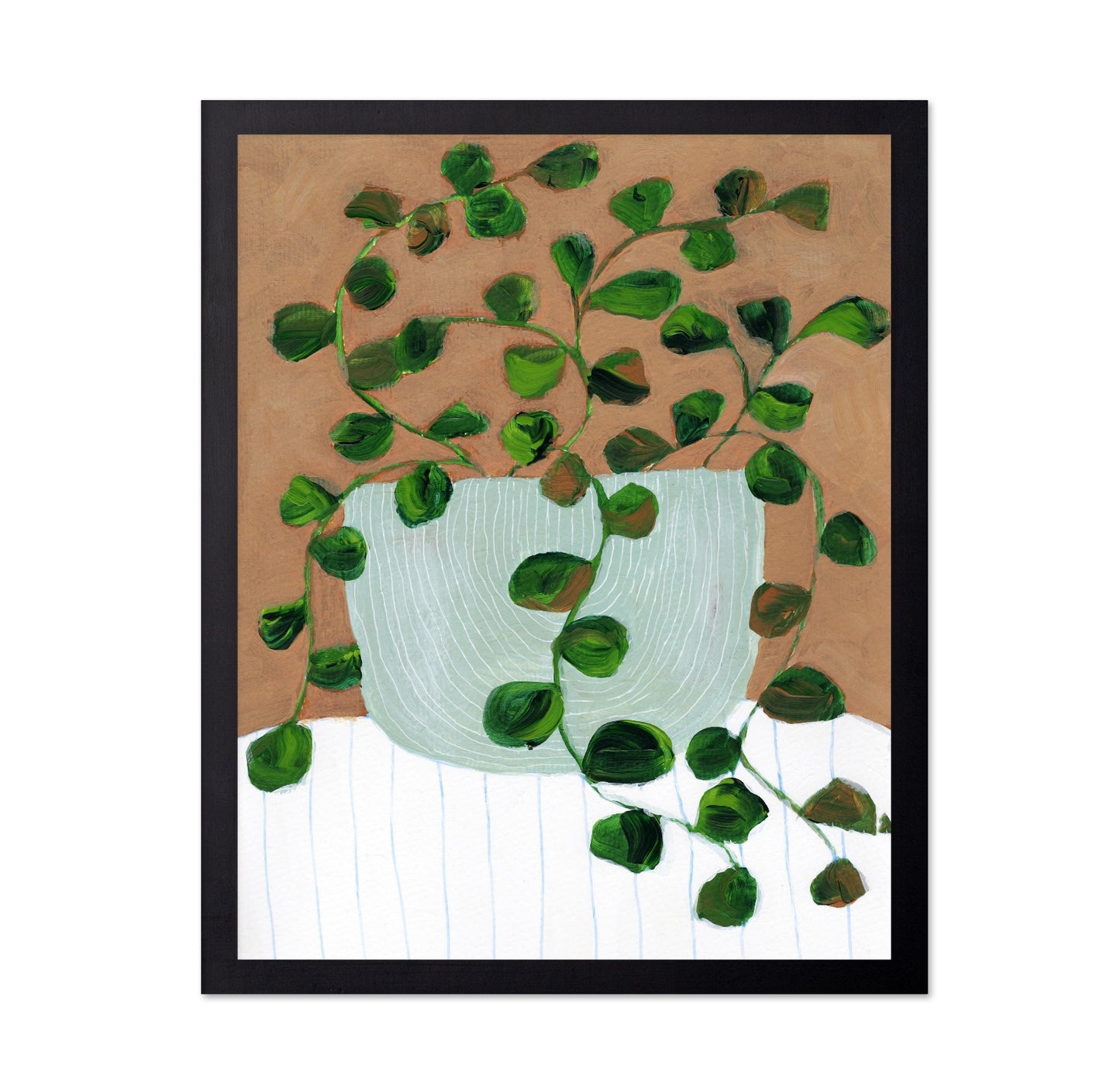 Peperomia Stilllife