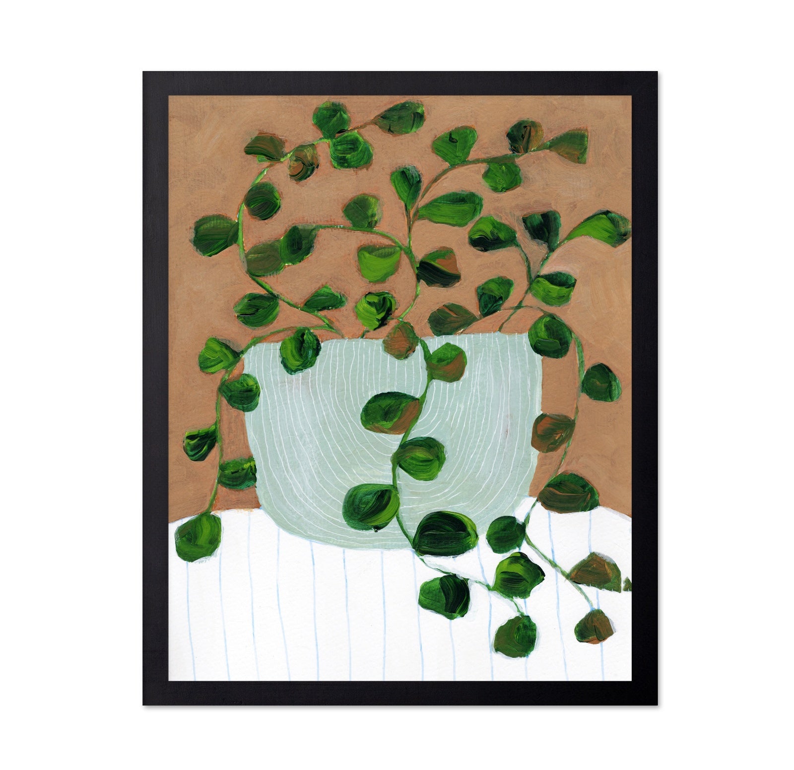 Peperomia Stilllife