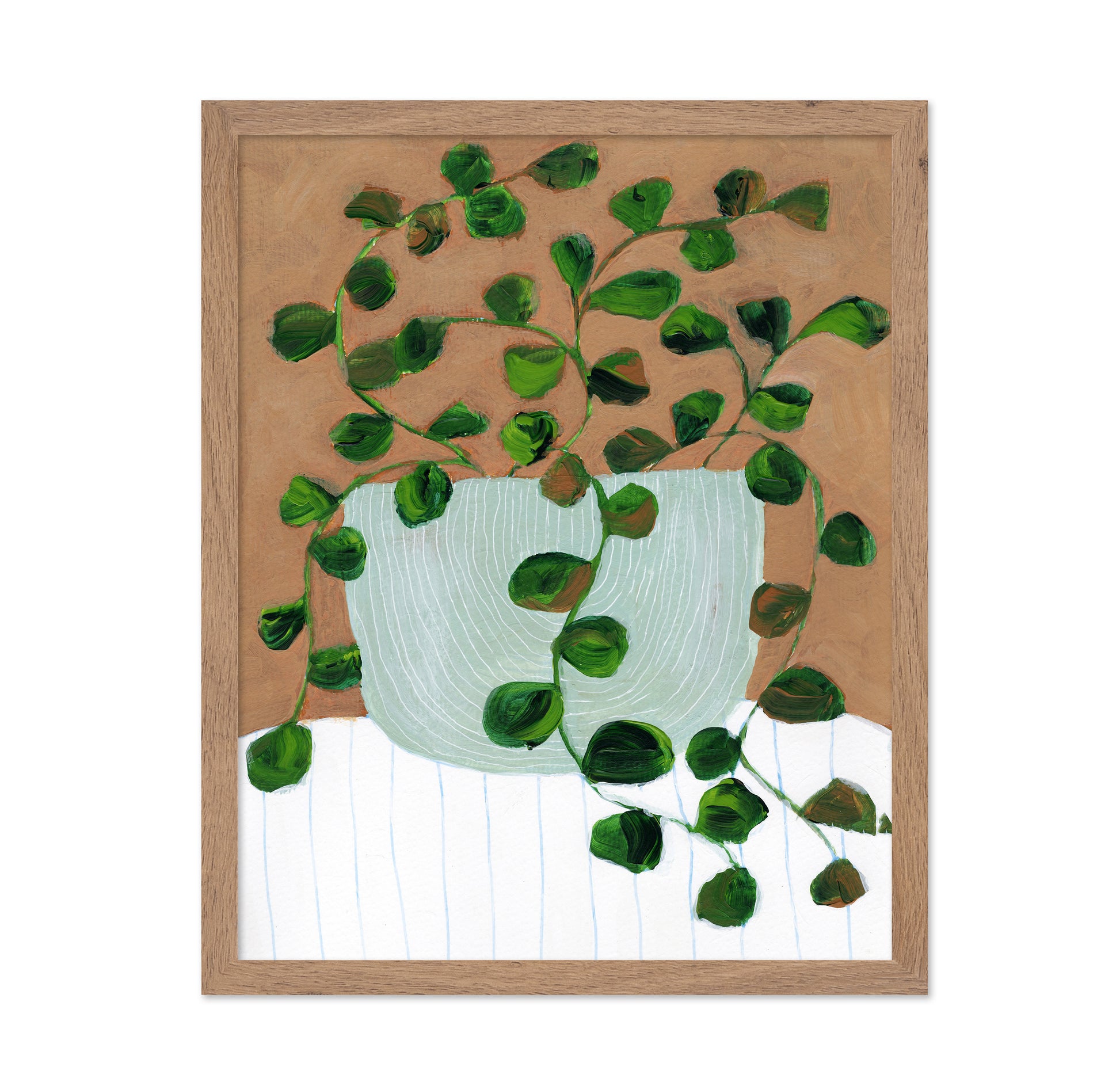 Peperomia Stilllife