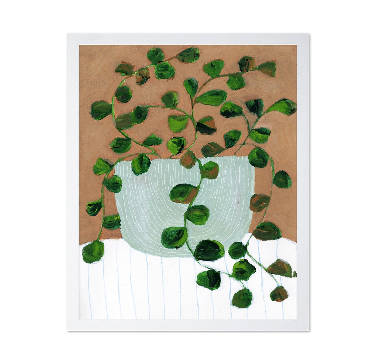 Peperomia Stilllife