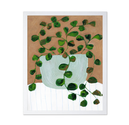 Peperomia Stilllife