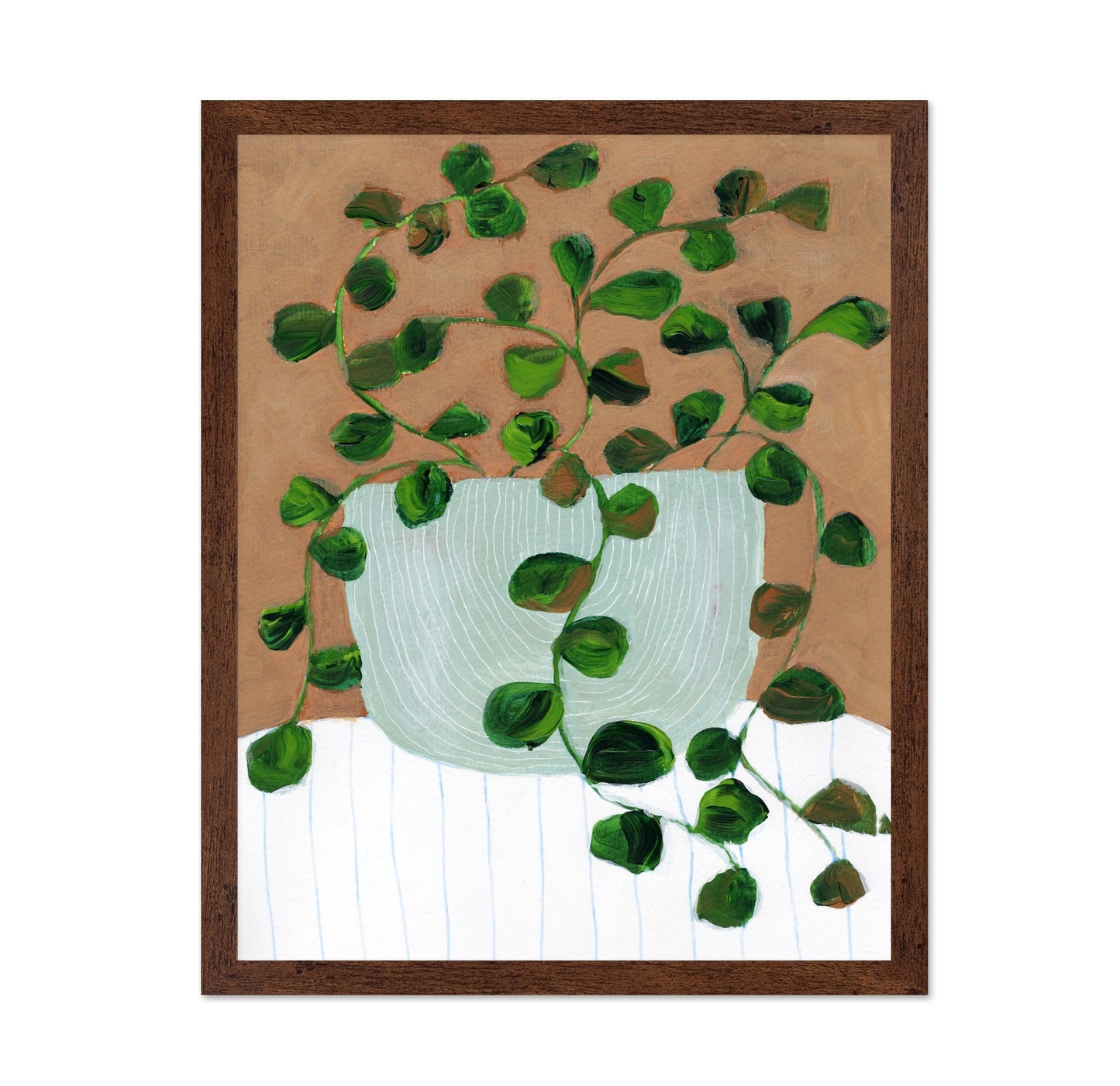 Peperomia Stilllife