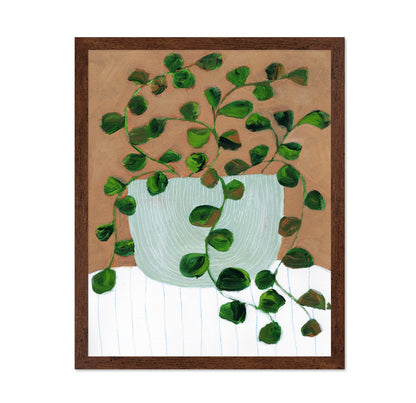Peperomia Stilllife
