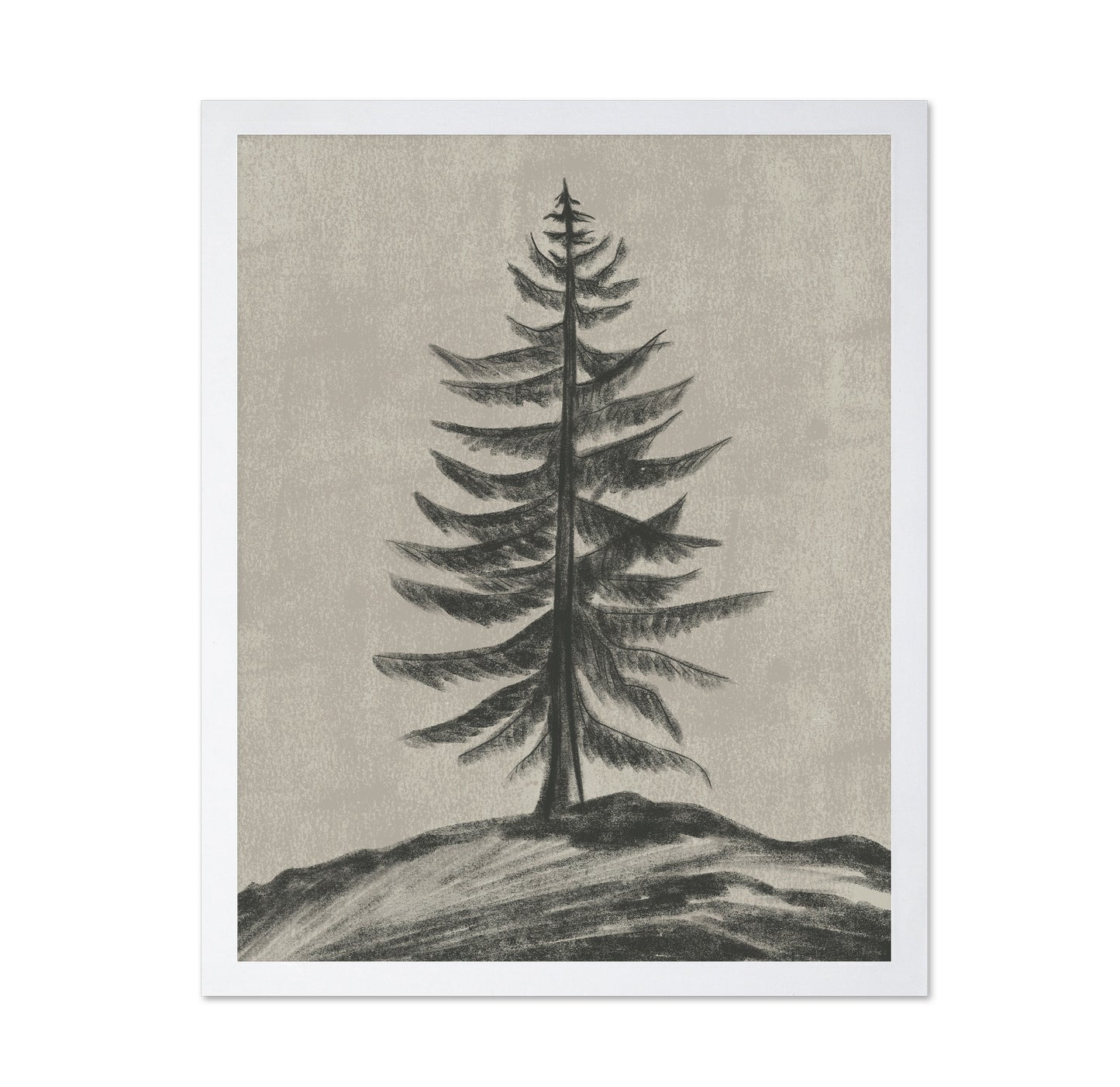 Evergreen Sketch