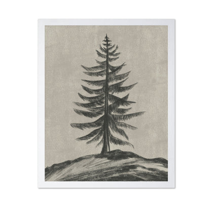 Evergreen Sketch