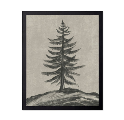 Evergreen Sketch
