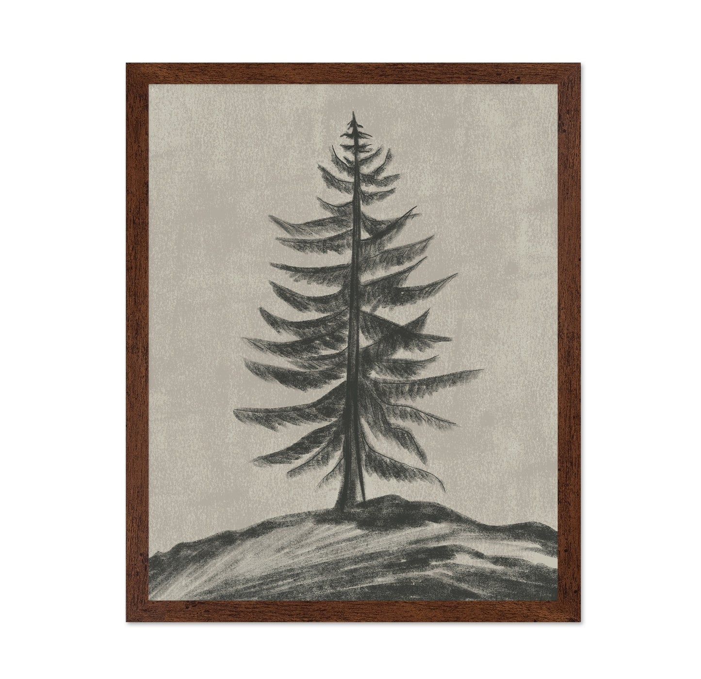 Evergreen Sketch