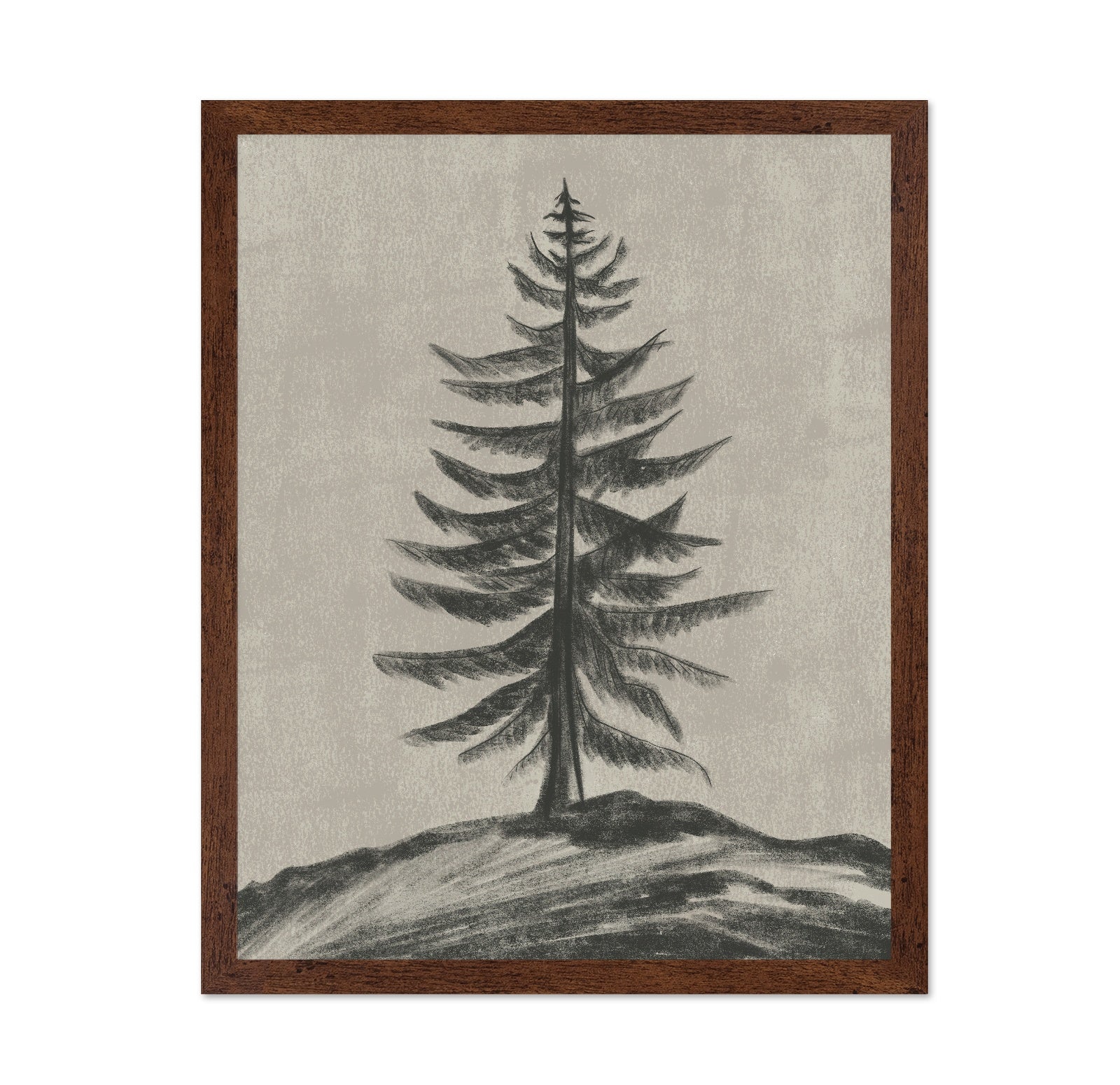 Evergreen Sketch