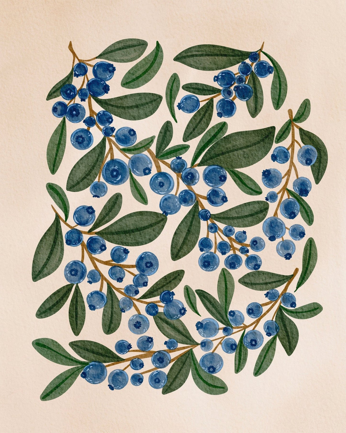 Blueberry Botanical