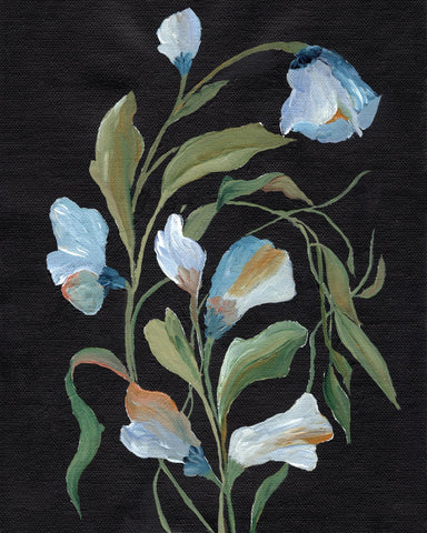 Midnight Floral