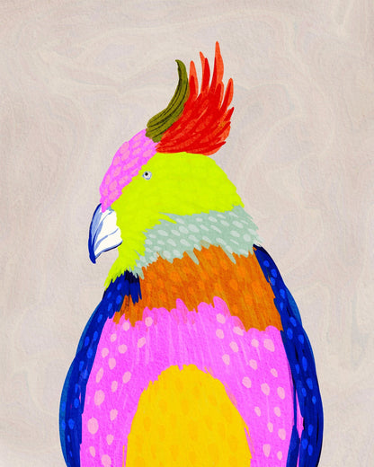 Vibrant Macaw