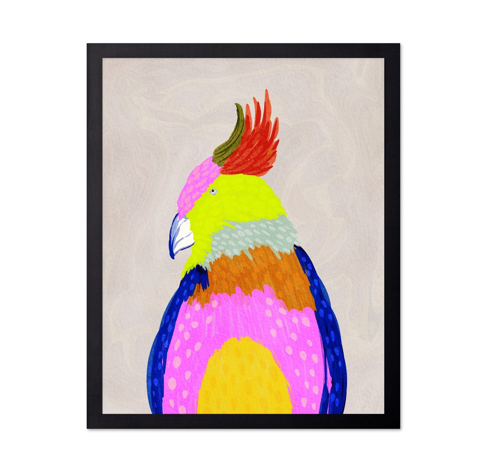 Vibrant Macaw