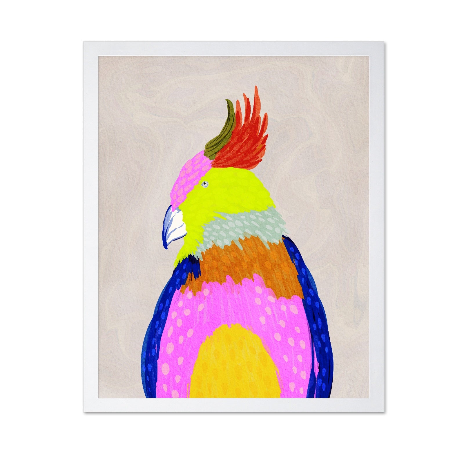 Vibrant Macaw