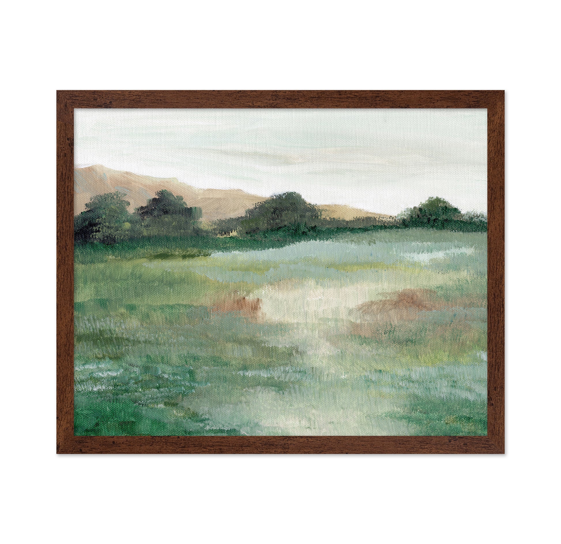 Quiet Meadow Lake