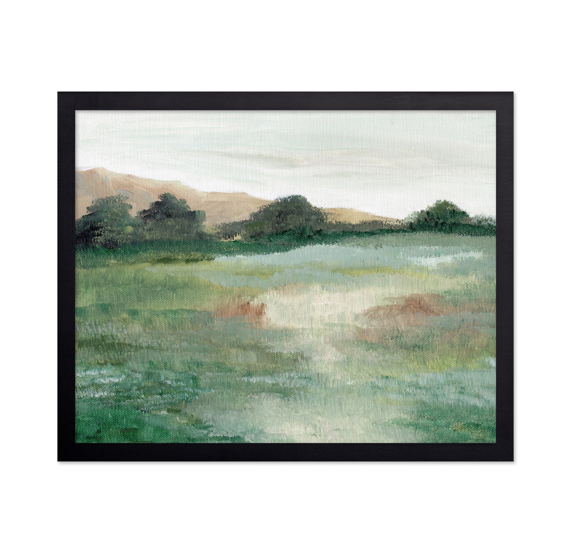 Quiet Meadow Lake