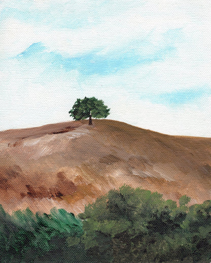 Lone Hill Tree