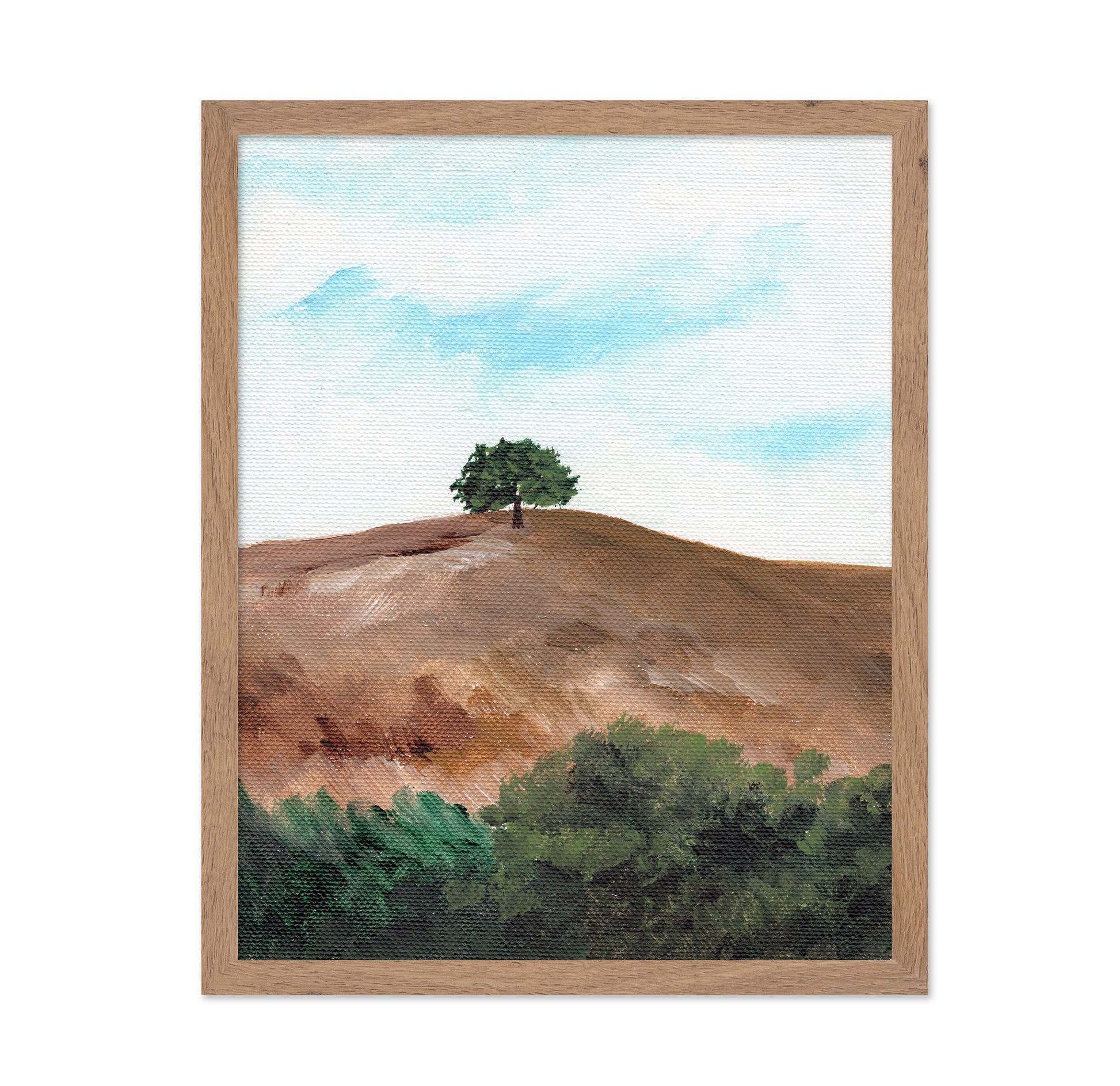 Lone Hill Tree