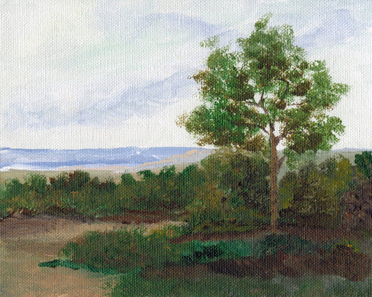 Quiet Summer Tree