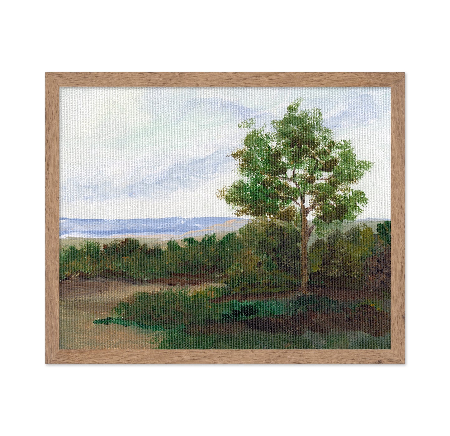 Quiet Summer Tree
