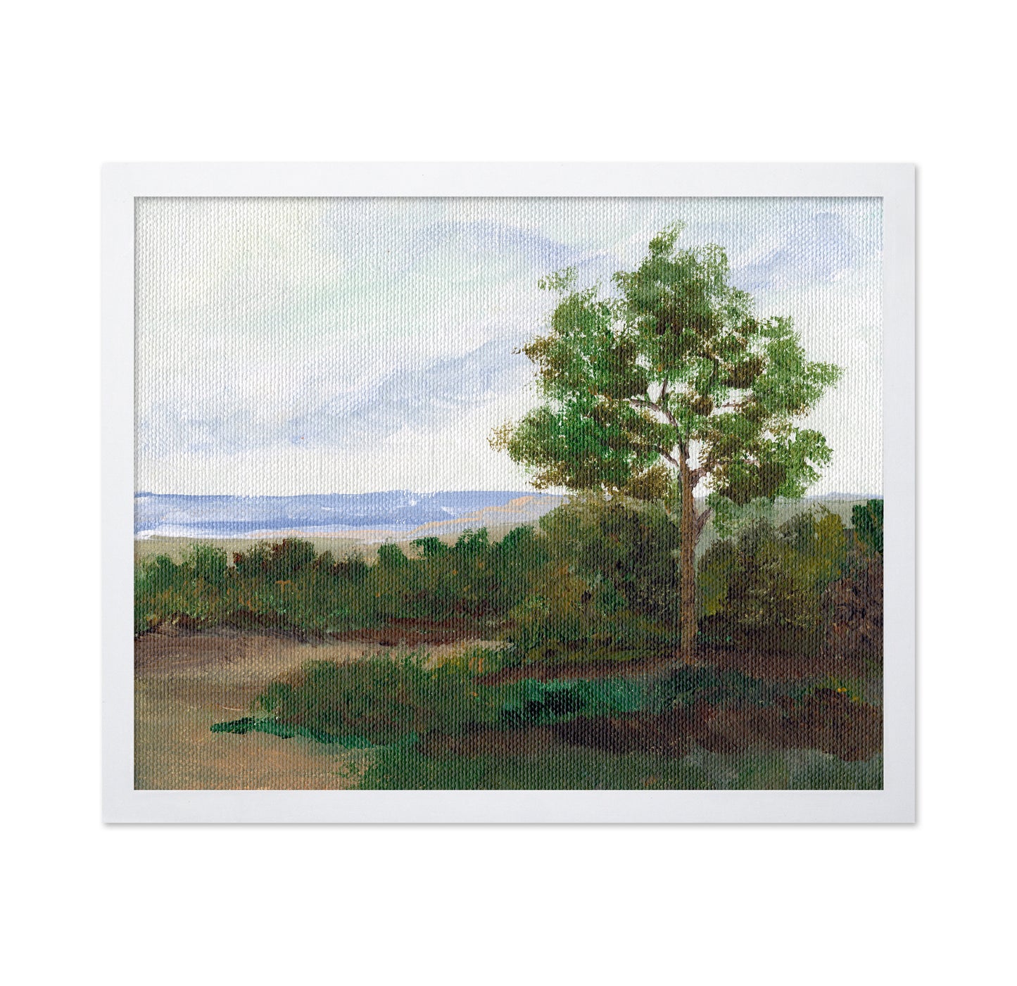 Quiet Summer Tree