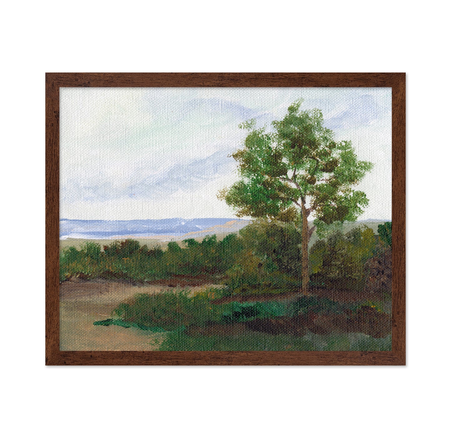 Quiet Summer Tree