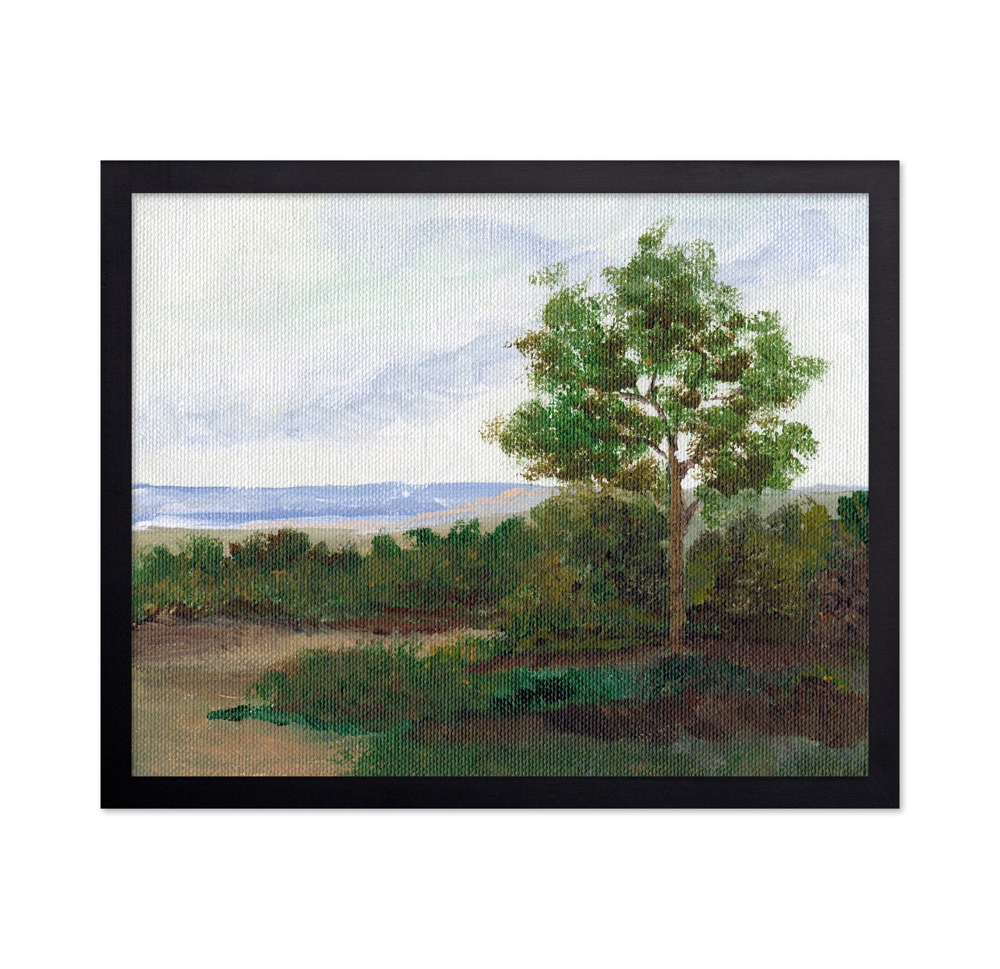 Quiet Summer Tree