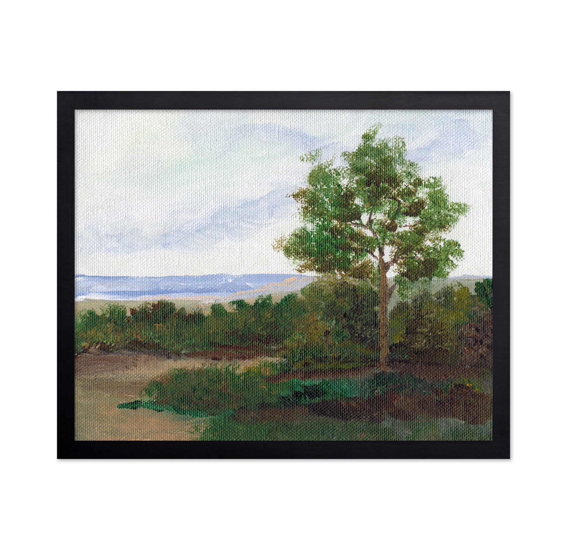 Quiet Summer Tree