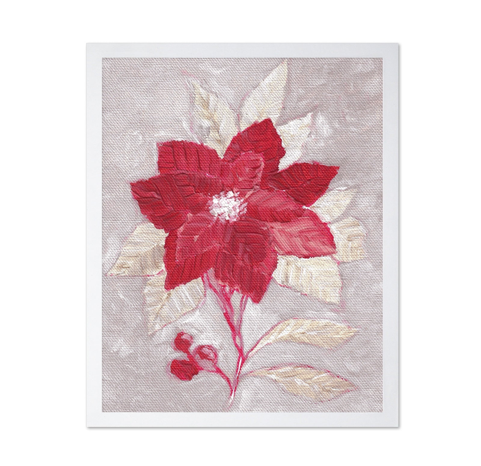 Red Poinsettia Bloom No1