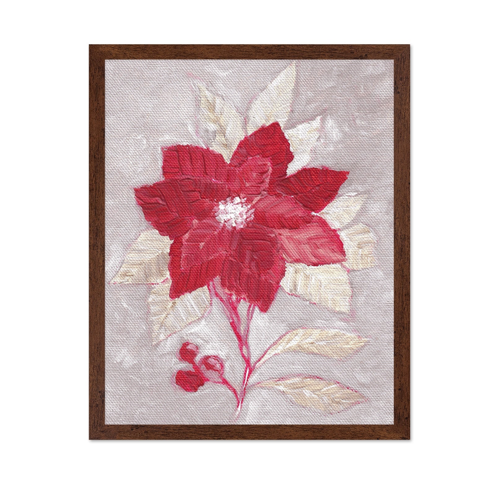 Red Poinsettia Bloom No1