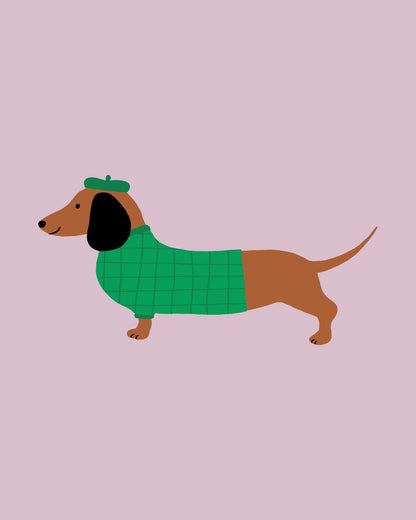 Stylish Dachshund