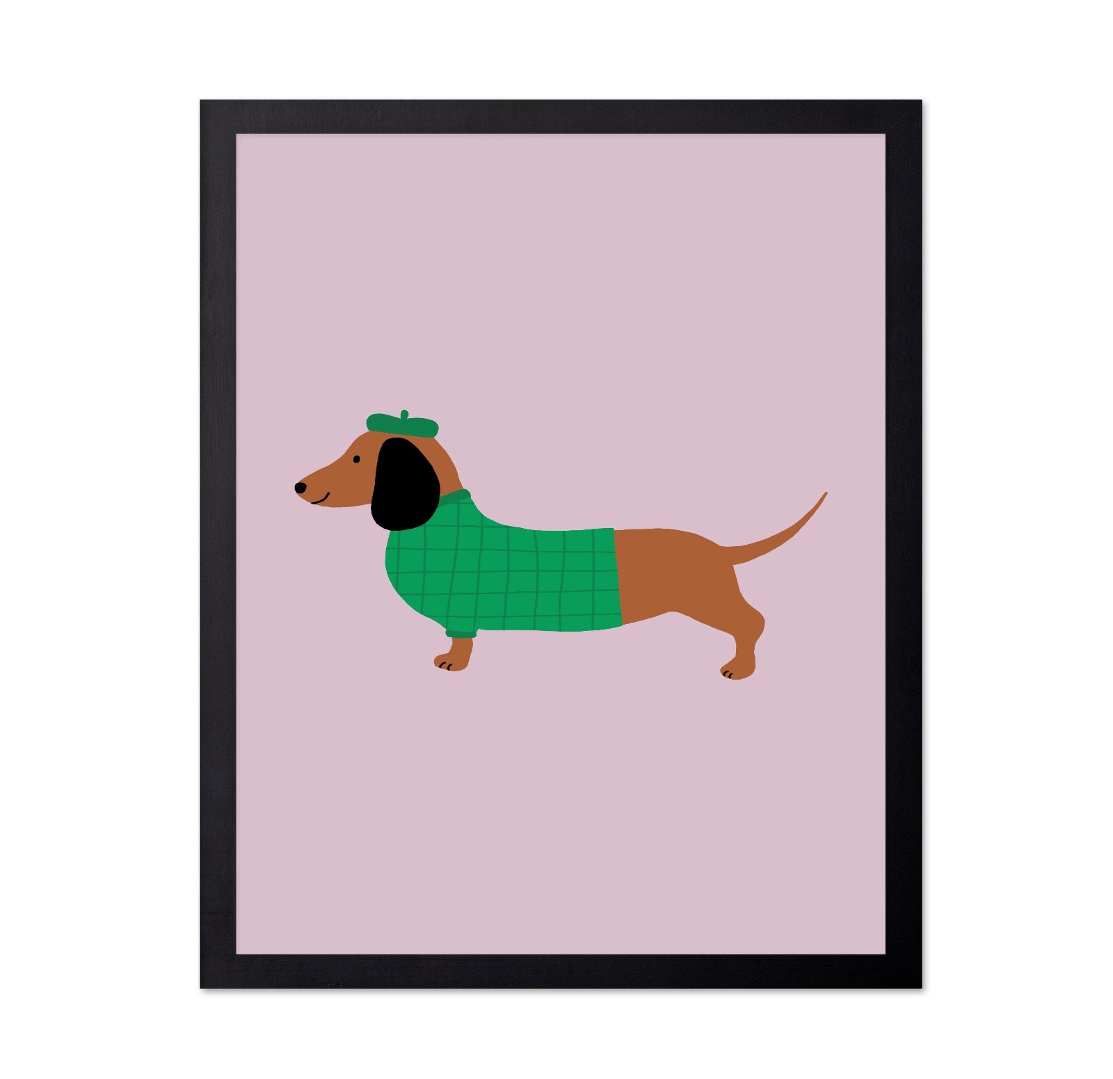 Stylish Dachshund