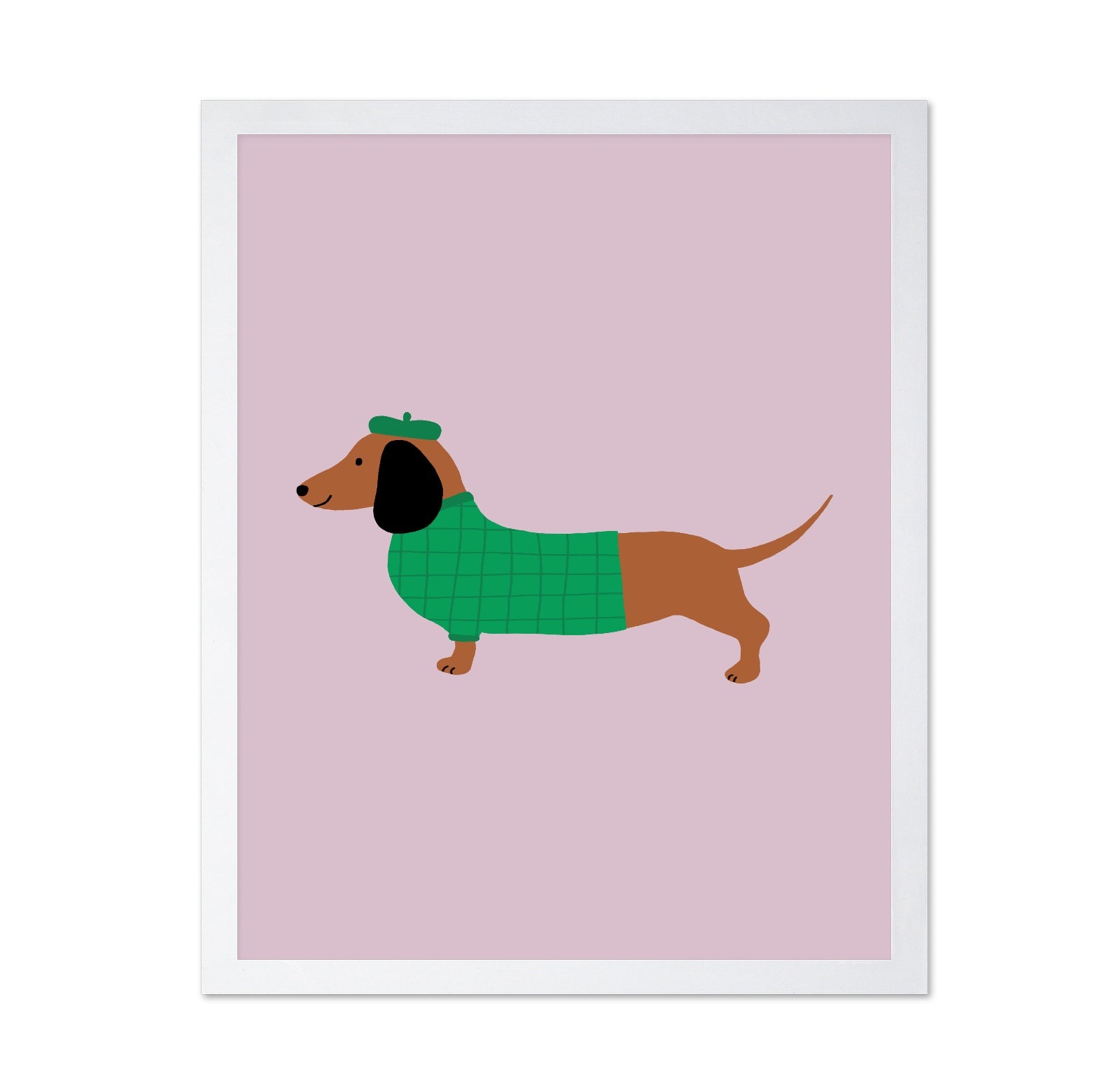 Stylish Dachshund