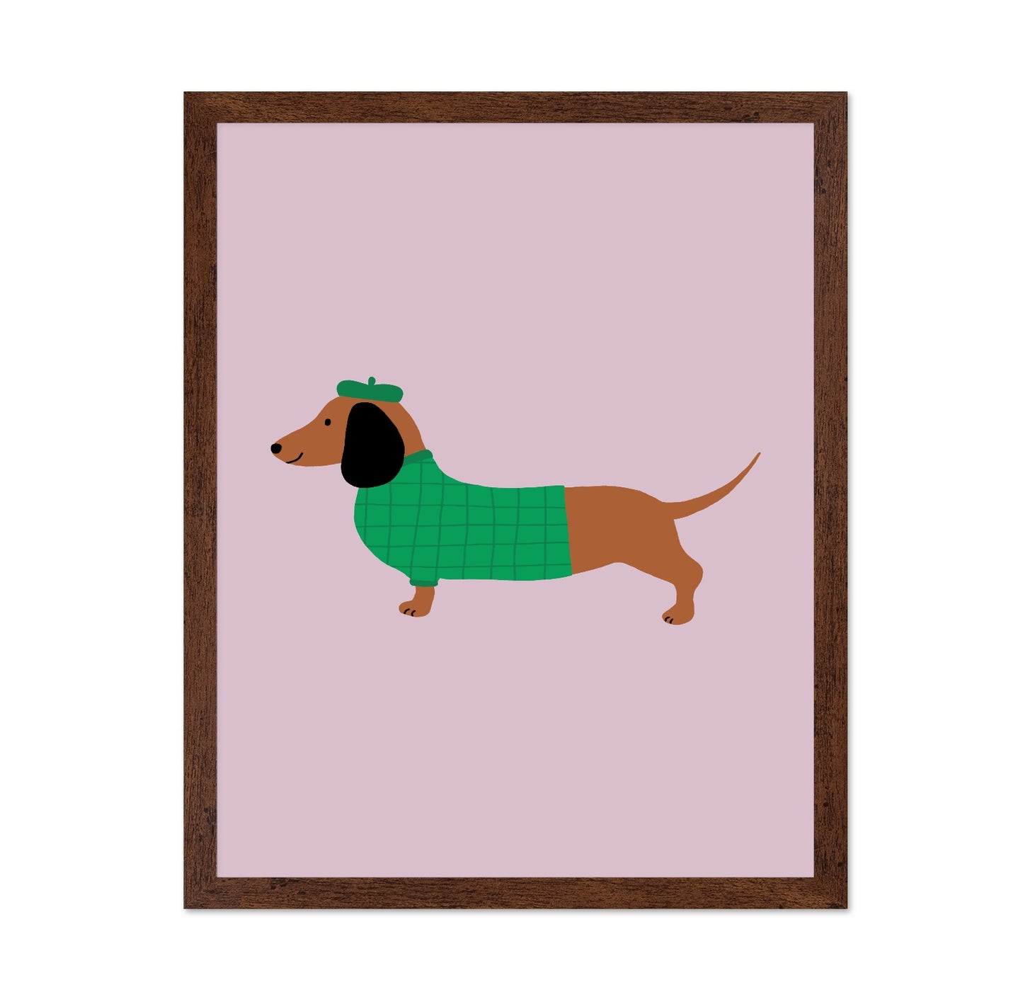 Stylish Dachshund