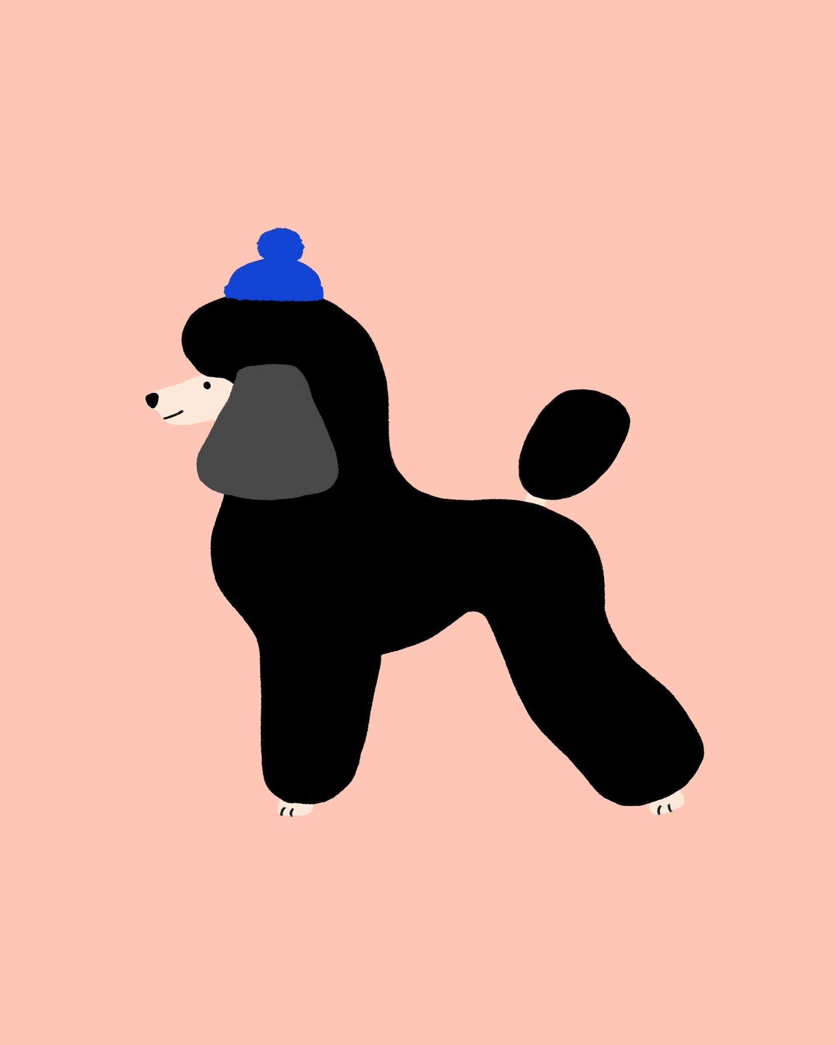 Poodle In Winter Hat