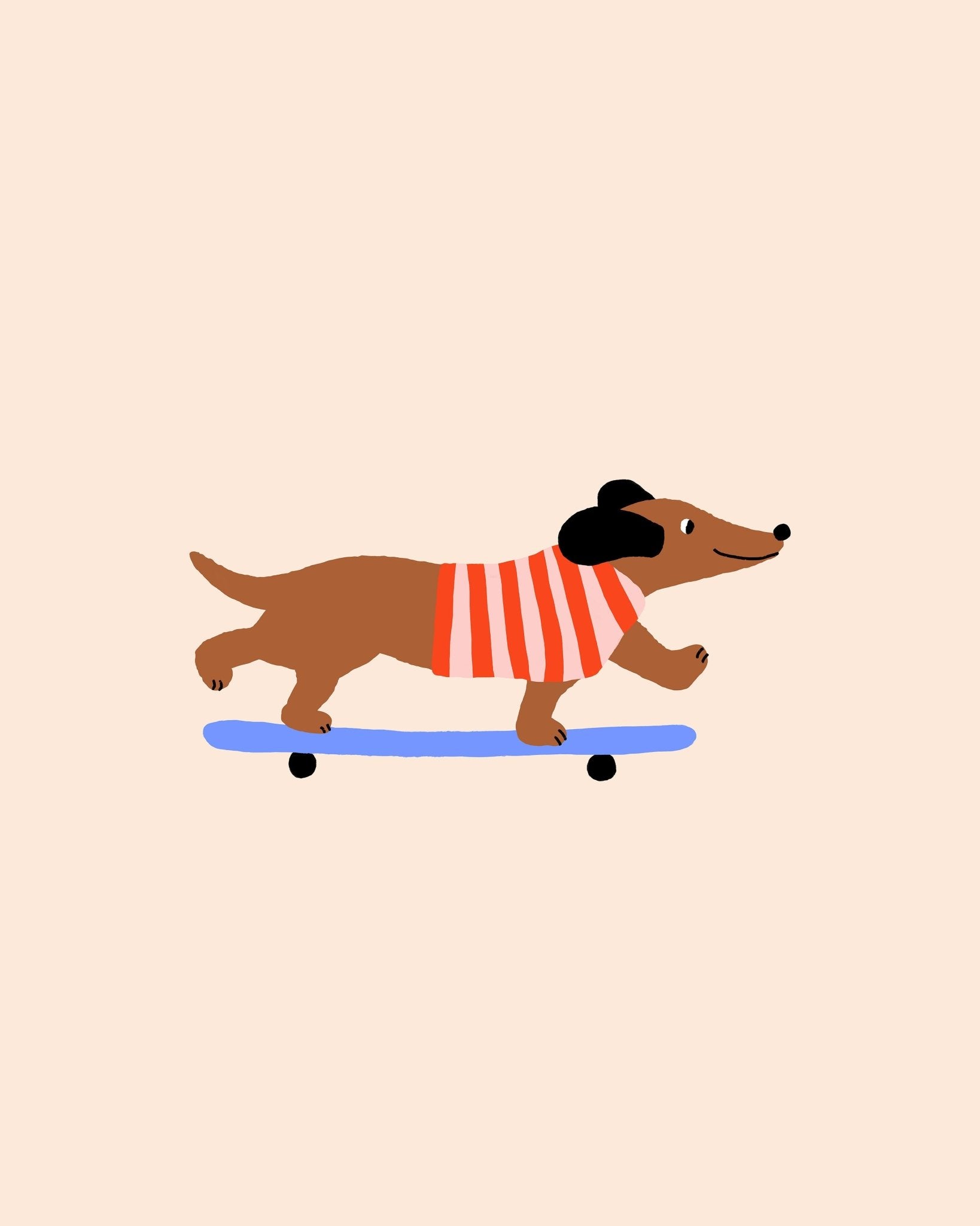 Skating Dachshund